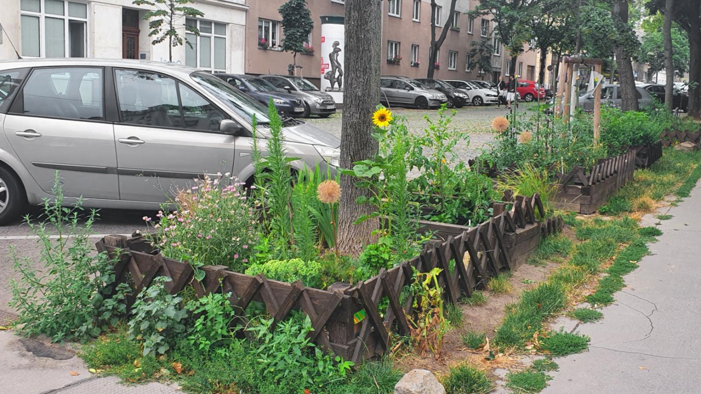 Guerrilla Gardening Video What Is Guerrilla Gardening And How Does It 