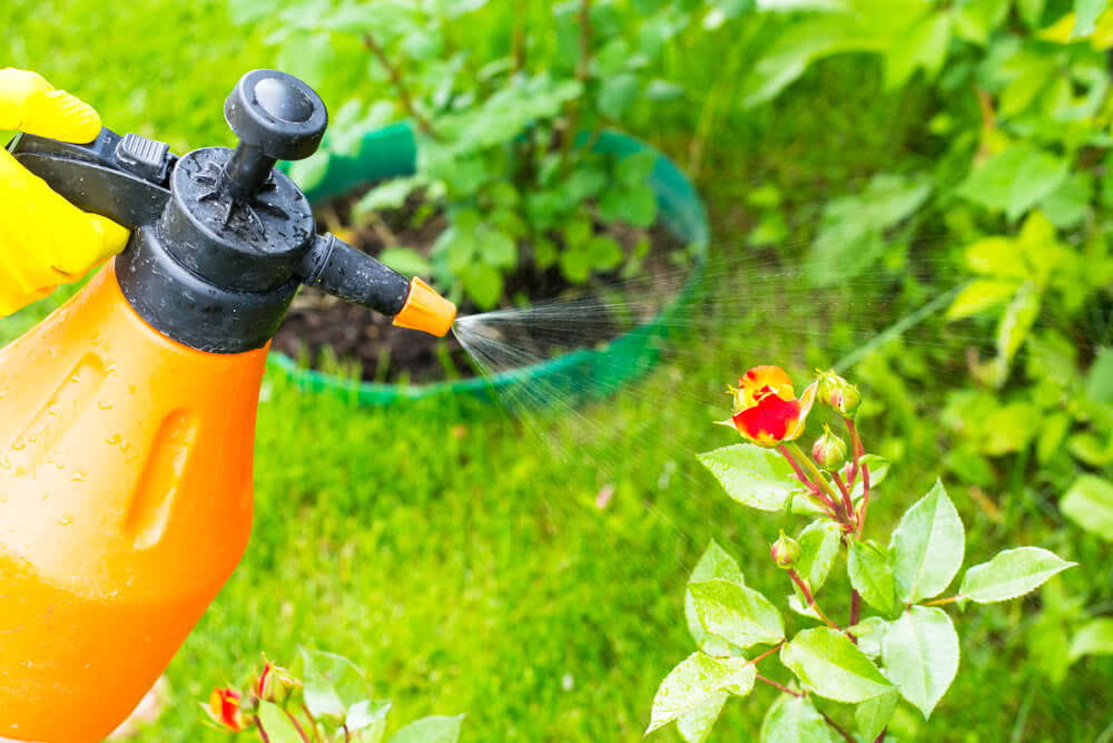 Pest management in gardens