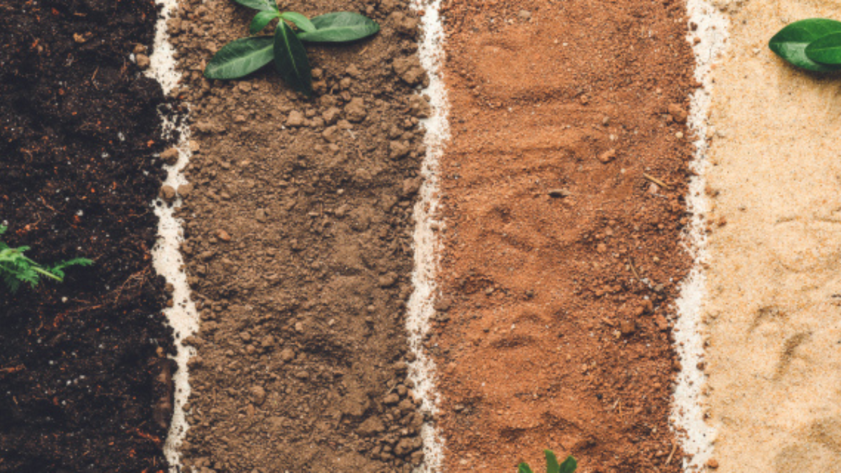 types of soil for gardening