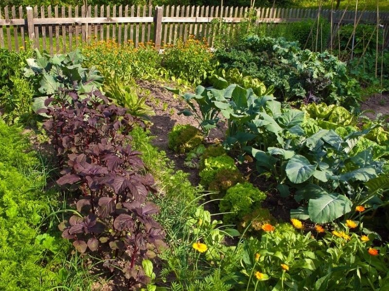 the secrets of sustainable gardening